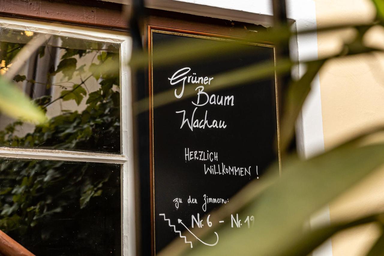 Gruener Baum Wachau - Retro Fruehstueckspension 마우테른 외부 사진